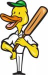 Duck Cricket Player Batsman Standing Stock Photo