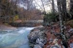 River In Ordesa National Park, Pyrenees, Huesca, Aragon, Spain Stock Photo