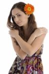 Young Woman With Gerbera Flower Stock Photo