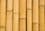 Bamboo Background Stock Photo