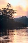 Early Morning In Amazonian Rainforest. Lake Cuyabeno Stock Photo