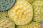 Lotus Seeds Pod Background Stock Photo