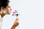 Profile Photo Of A Beautiful Girl Smelling A Flower Stock Photo