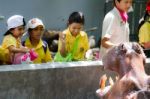 Primary Students Visit The Zoo, In The Jul 27, 2016. Bangkok Thailand Stock Photo