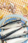 Raw Mackerel Fish Stock Photo