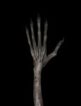 3d Illustration Of Hand Of Evil On Black Background Stock Photo