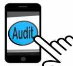 Audit Button Displays Auditor Validation Or Inspection Stock Photo