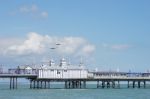 Airbourne Airshow At Eastbourne 2014 Stock Photo