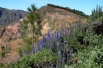 Gran Canaria, Canary Islands/spain- February 21 : A Scenic View Stock Photo