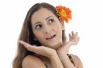 Surprising Lady With Gerbera In Hair Stock Photo