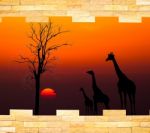 Brick Wall With Silhouettes Of African Safari Theme Behind Stock Photo