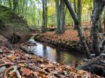 Scenic View Of The Ashdown Forest In Sussex Stock Photo