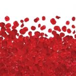 A Lot Of Red Rose Petals Isolated - Illustrator Stock Photo