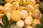 Background Of Fresh Passion Fruit Stock Photo