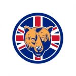 British Bear Union Jack Flag Icon Stock Photo