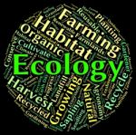 Ecology Word Indicates Protected Protection And Earth Stock Photo