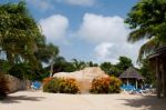 Swimming Pool Area Stock Photo