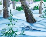 Snowdrifts  In A Winter Forest Stock Photo