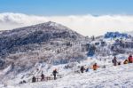 Deogyusan,korea - January 23: Tourists Taking Photos Of The Beautiful Scenery Around Deogyusan,south Korea On January 23, 2015 Stock Photo