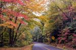 Nature Scenes On Blue Ridge Parkway Great Smoky Mountains Stock Photo