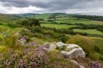 Cheviot Hills Stock Photo