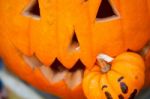 Pumpkin Eating Pumpkin Stock Photo