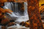 Horseshoe Falls In Mount Field National Park Stock Photo