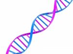 Dna Stock Photo