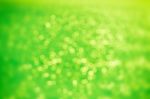 Abstract Green Bokeh Background Stock Photo