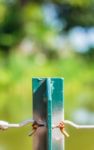 Blur Steel Pillars That Hold The Wire Rope Stock Photo