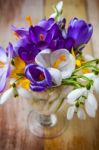 Bunch Of Spring Flowers. Crocus And Snowdrops On The Wooden Back Stock Photo