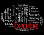 Executive Word Indicates Director General And Chairwoman Stock Photo