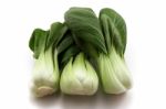 Pak Choi Stock Photo