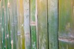 Green Bamboo Fence Texture Background Stock Photo