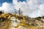 Mammoth Hot Springs Stock Photo