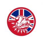 British Bulldog Head Union Jack Flag Icon Stock Photo