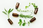 Top View, Bottle Of Essential Oil With Herbs Stock Photo