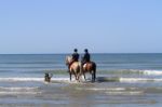 Riding Out To Sea On Horses Stock Photo