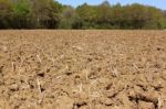 Agricultural Land Stock Photo