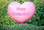 Pink Heart On Green Hedge Valentines Concept Stock Photo