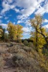 Autumn Colours In Wyoming Stock Photo