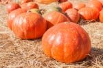 Orange Pumpkins On Straw Stock Photo