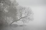 Autumn Misty Morning. Dawn On The Foggy River. Autumn Scene Pano Stock Photo