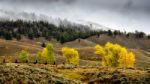 Scenic View Of The Countryside In Yellowstone National Park Stock Photo