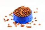 Dry Cat Food Stock Photo