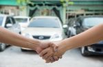 Man And Woman Handshake For Agreement Stock Photo