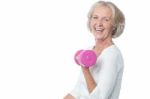 Joyous Fit Woman Lifting Dumbbells Stock Photo