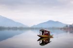 Srinagar, India - April 15 2016: Lifestyle In Dal Lake Stock Photo