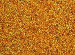 Bee Pollen Stock Photo