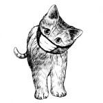 Illustration Of Cat With Mask Hand Drawn Stock Photo